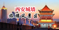 岛国操操中国陕西-西安城墙旅游风景区