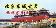 男人插女人小穴中国北京-东城古宫旅游风景区